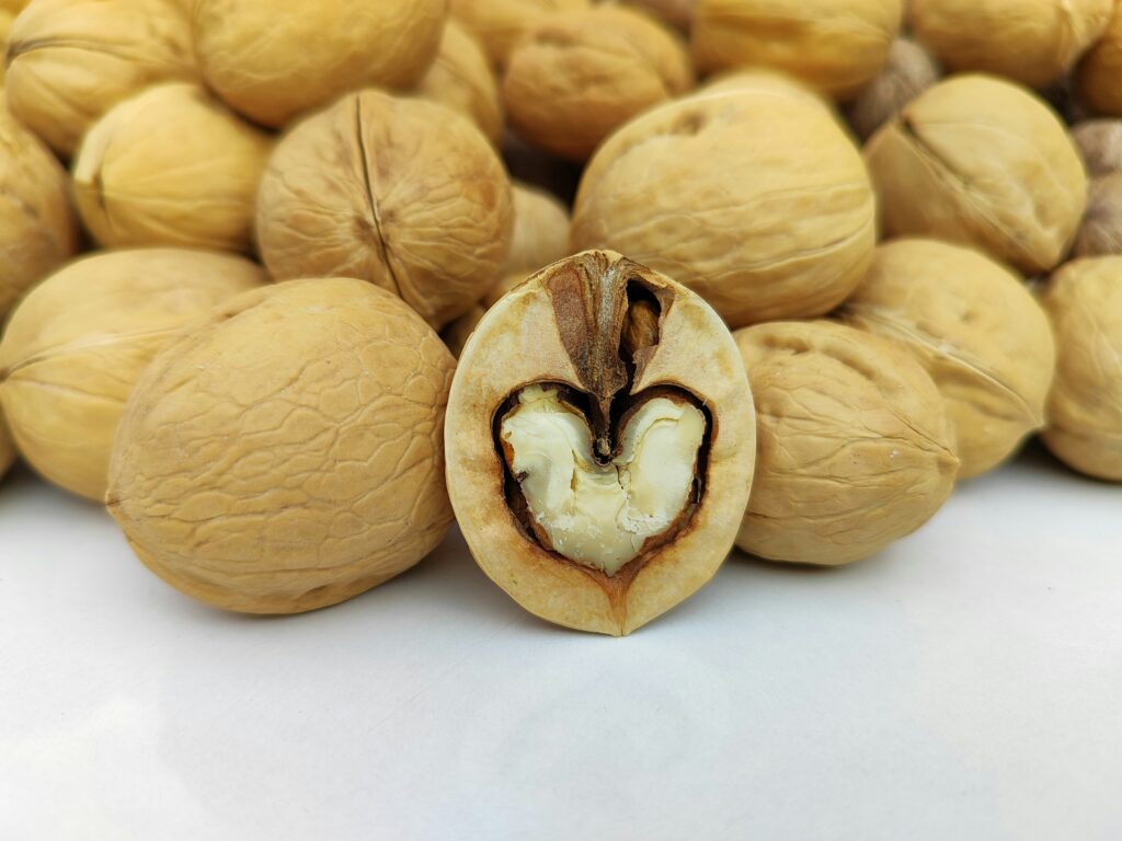 Foto de un puñado de nueces. En primer plano, una nuez abierta por la mitad mostrando su interior.