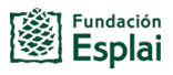 Logo of the Fundación Esplai